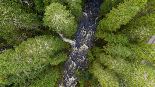 glengarry forest aerial view