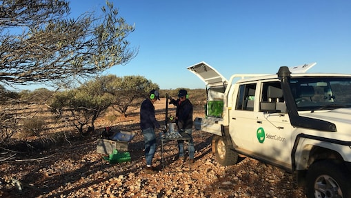 soil sampling quartz