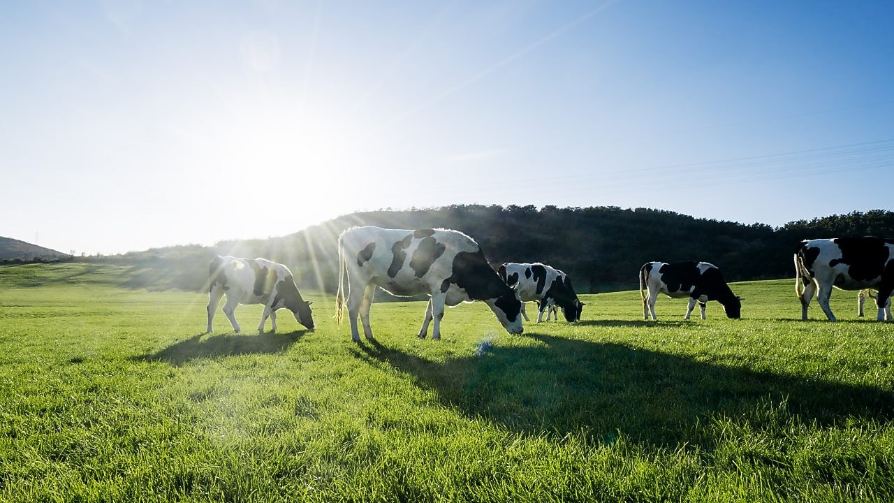 LNG - decarbonisation pathways