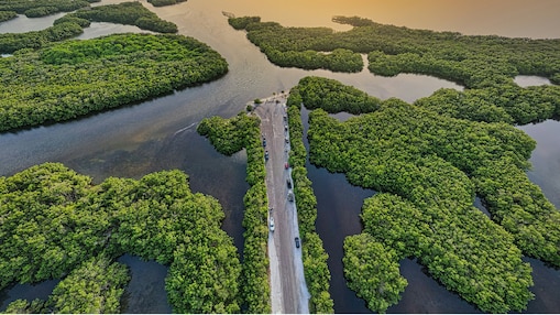 Coastal Innovation Challenge 2025