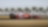 Ferrari F1 car racing on sunny track with palm trees