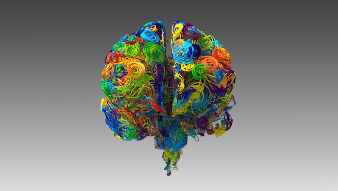 A dot of different plastic threads in a variety of colour, together forming an image of a brain.