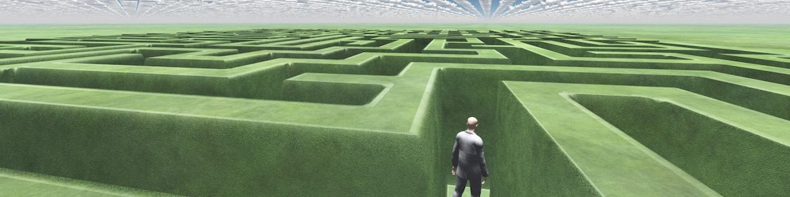 Man In Maze