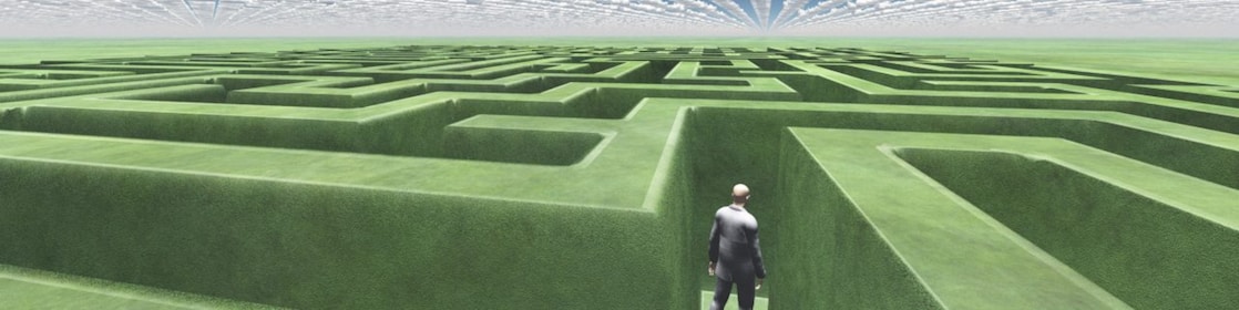 Man In Maze