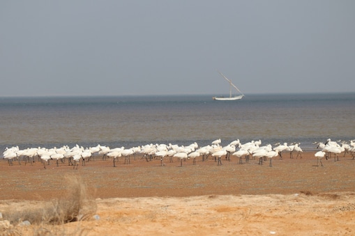 Delivering energy responsibly