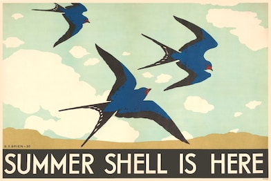 Shell poster advert from the 1930s featuring three birds and the text 'Summer Shell is here'