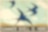 Shell poster advert from the 1930s featuring three birds and the text 'Summer Shell is here'