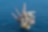 Floating oil facility in sea