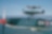Three spitfire aircraft flying in formation